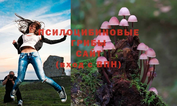 круглые Ельня