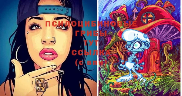 ГАЛЛЮЦИНОГЕННЫЕ ГРИБЫ Вуктыл