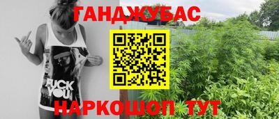 прущие крисы Будённовск