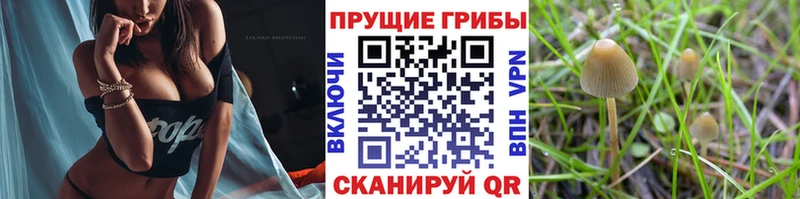 Галлюциногенные грибы ЛСД  дарнет шоп  Ивантеевка 