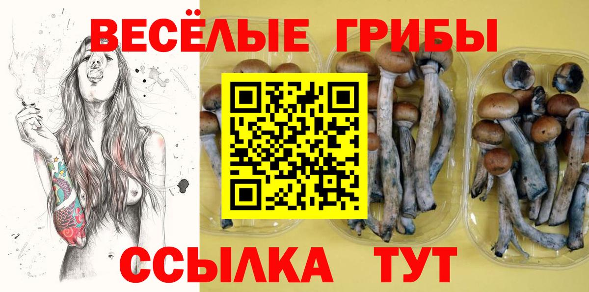 Псилоцибиновые грибы GOLDEN TEACHER Ивантеевка