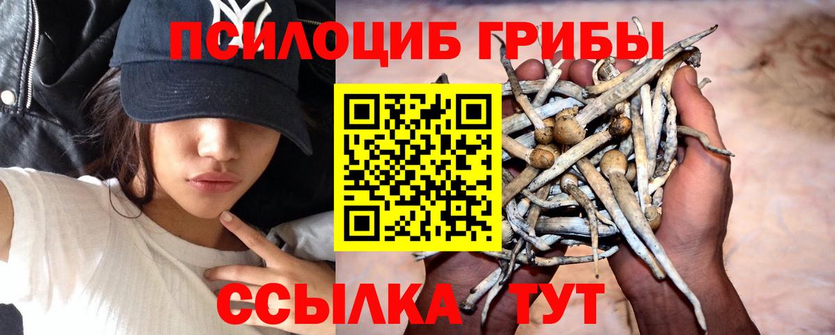 Галлюциногенные грибы ЛСД  Вход с VPN  где продают   Ивантеевка 